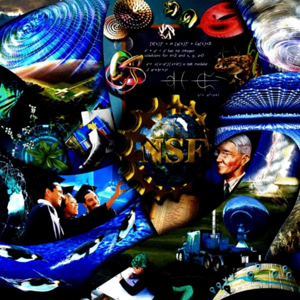 NSF History Wall