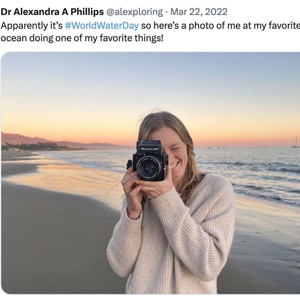 Screenshot of X post from Alex Phillips. Image shows Alex taking a photo, while standing on a beach at sunset.