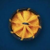 A close up of the yellow and navy blue rosette that is awarded AAAS Fellows.