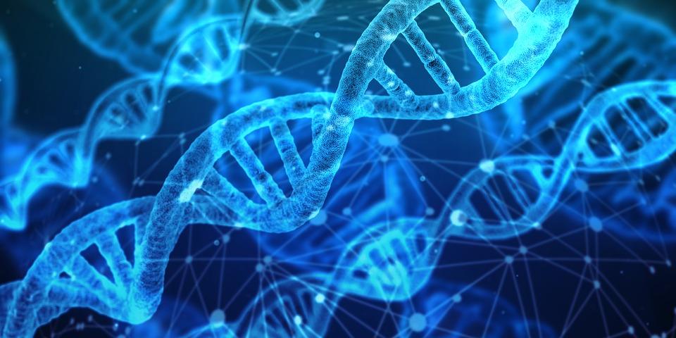 DNA graphic