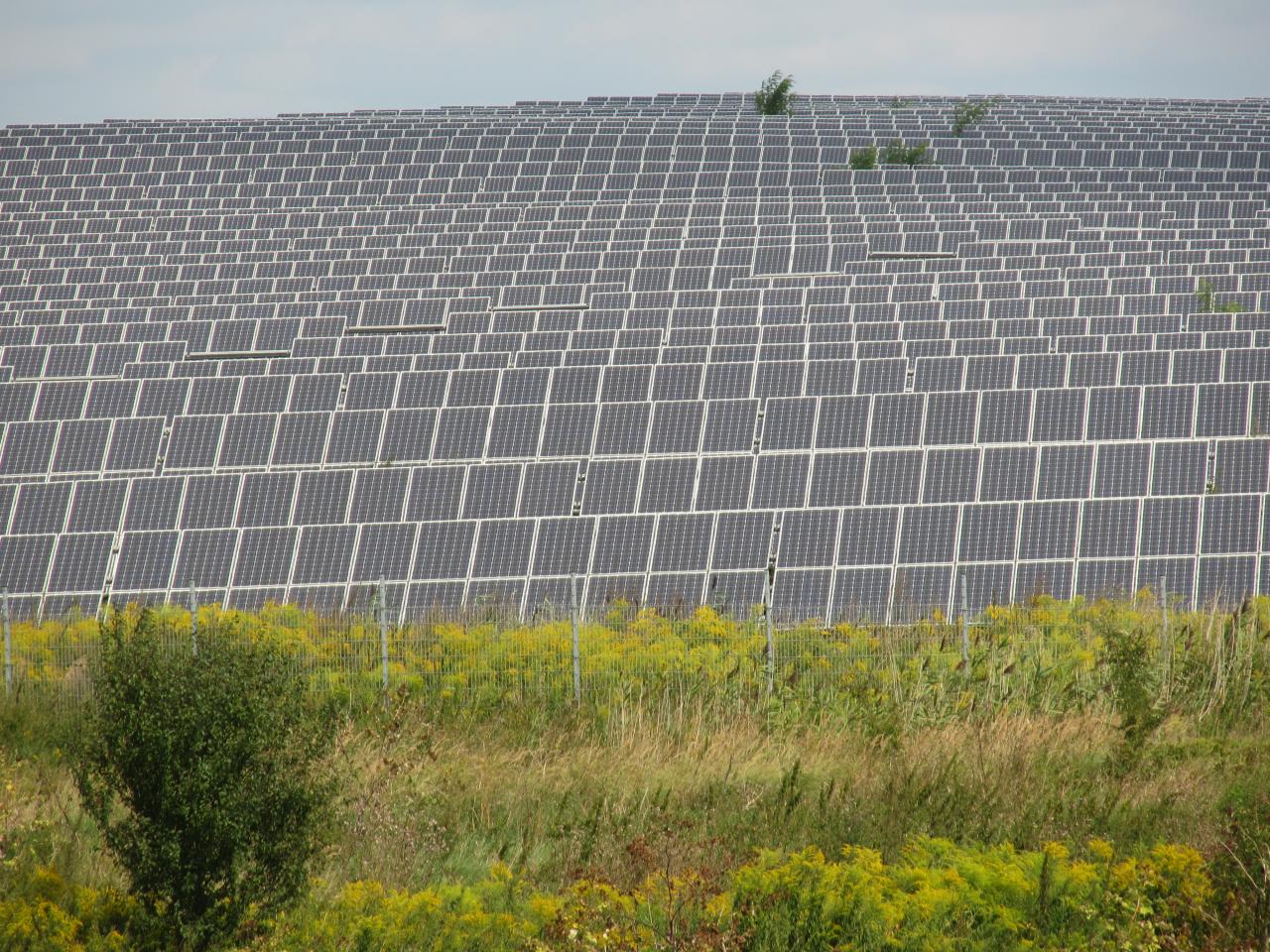 Solar panels in Germany - Molgreen, Wikimedia Commons