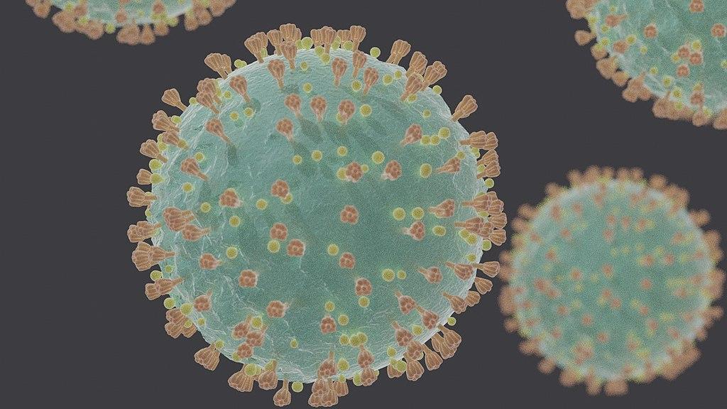 Rendering of COVID-19 viruses.