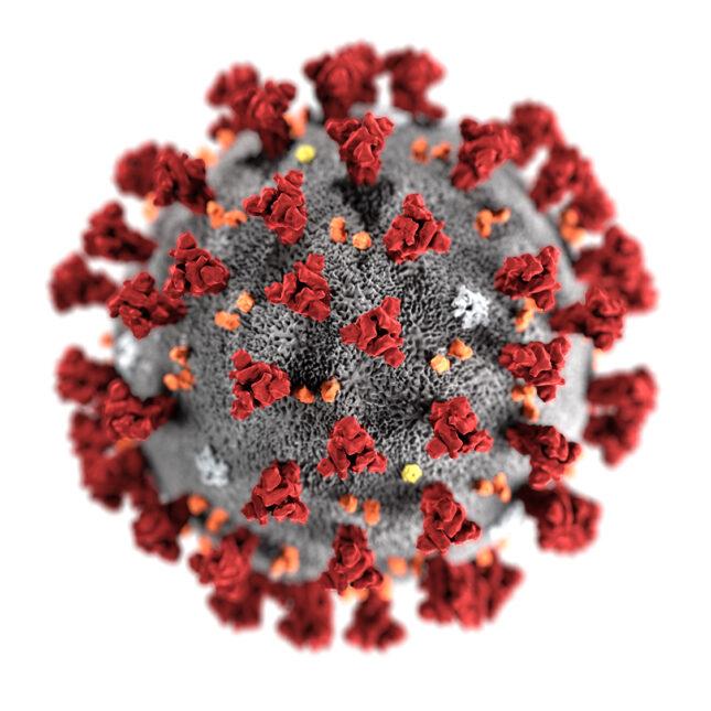 A close-up rendering of the COVID-19 virus.