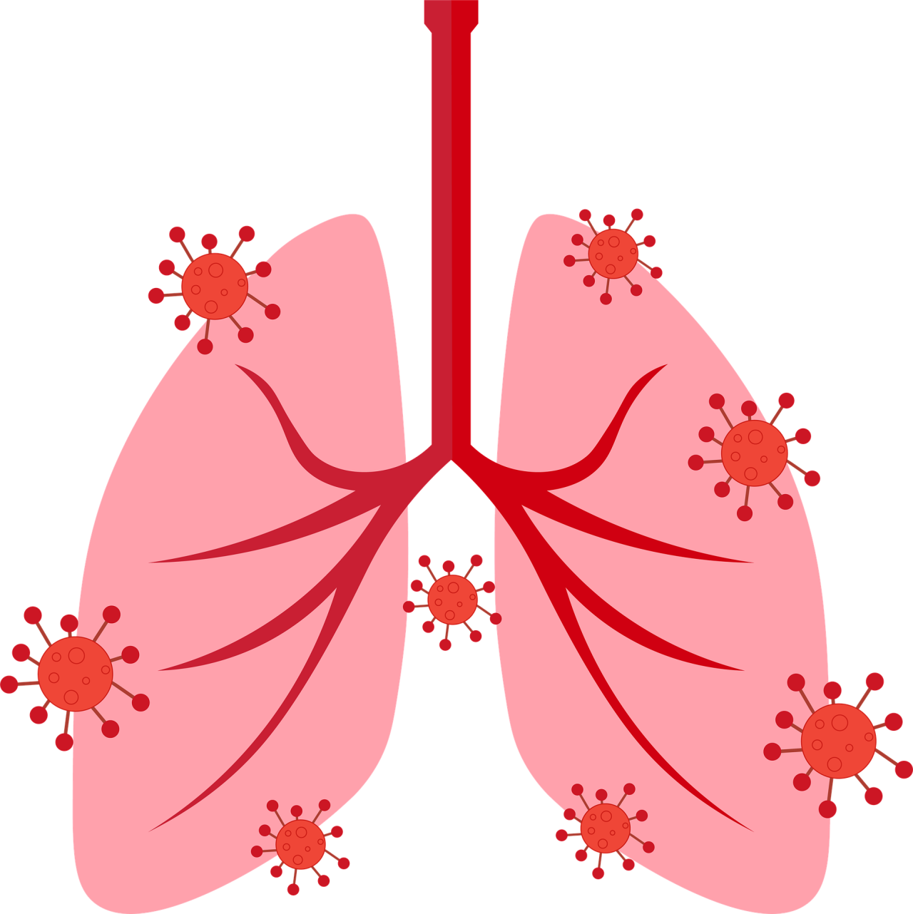Cartoon of lungs with red virus icons around it.