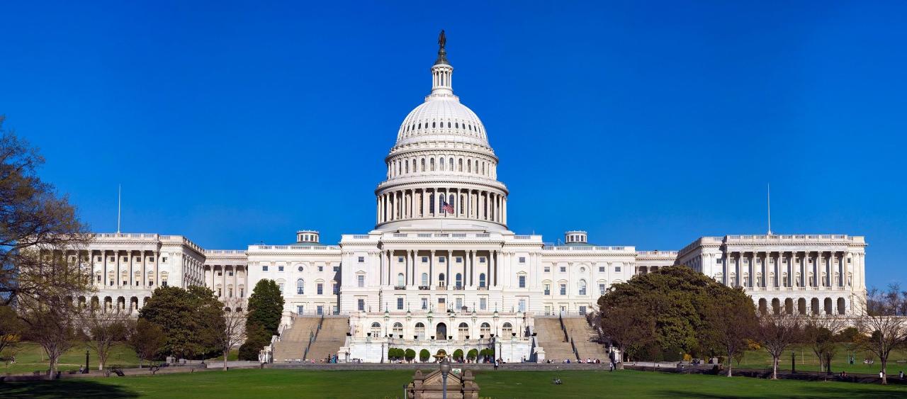 US Capitol, by Pixabay