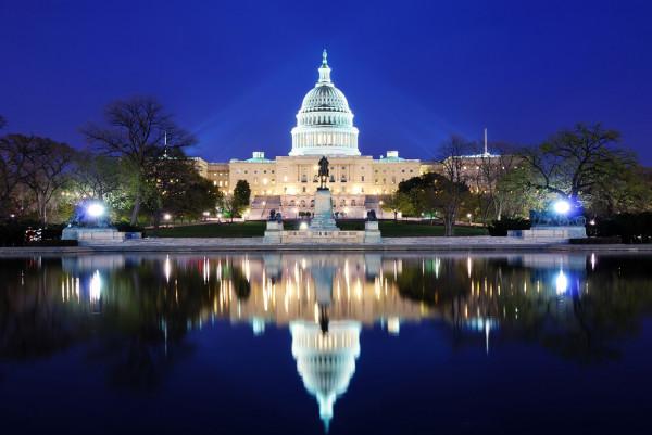 STPF Fellows and Public Policy