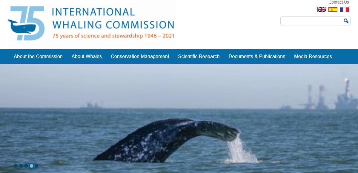 Homepage of the International Whaling Commission website