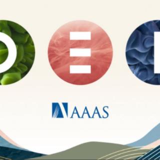 AAAS DEI logo
