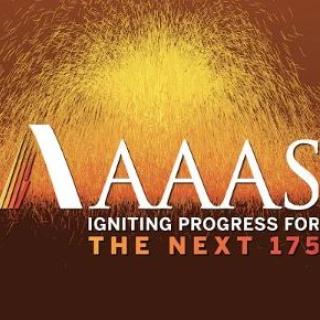 Image of yellow-orange sparks in the background. In the front is the AAAS 175th anniversary logo, with the words "Igniting Progress for the Next 175" below it.