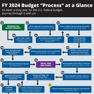 Graphic for the FY 2024 Budget "Process" at a Glance, built by AAAS.