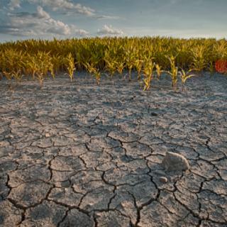 Climate Change Hits Conflict Zones Harder: Syria Case Study