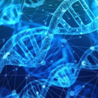 DNA graphic