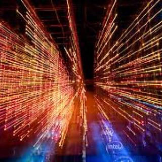 Neon orange and blue lights rendered to represent the digital rainforest.