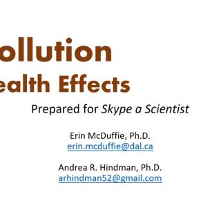 Presentation on air pollution and health effects. 