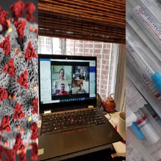 STPF Fellows and Staff Confront COVID-19 On the Job and At Home