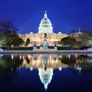 STPF Fellows and Public Policy